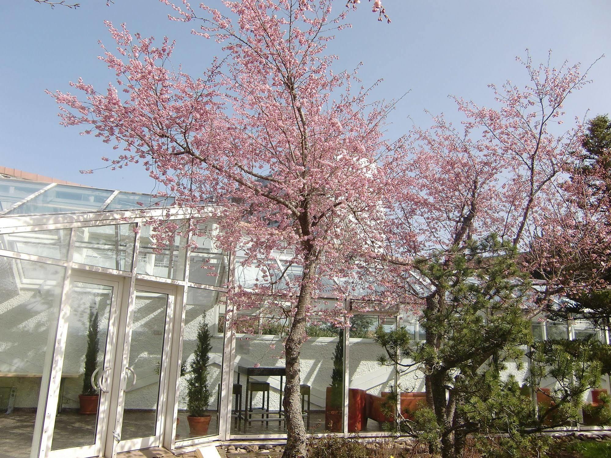 Dekra Congresshotel Wart อัลเทนชไตก์ ภายนอก รูปภาพ